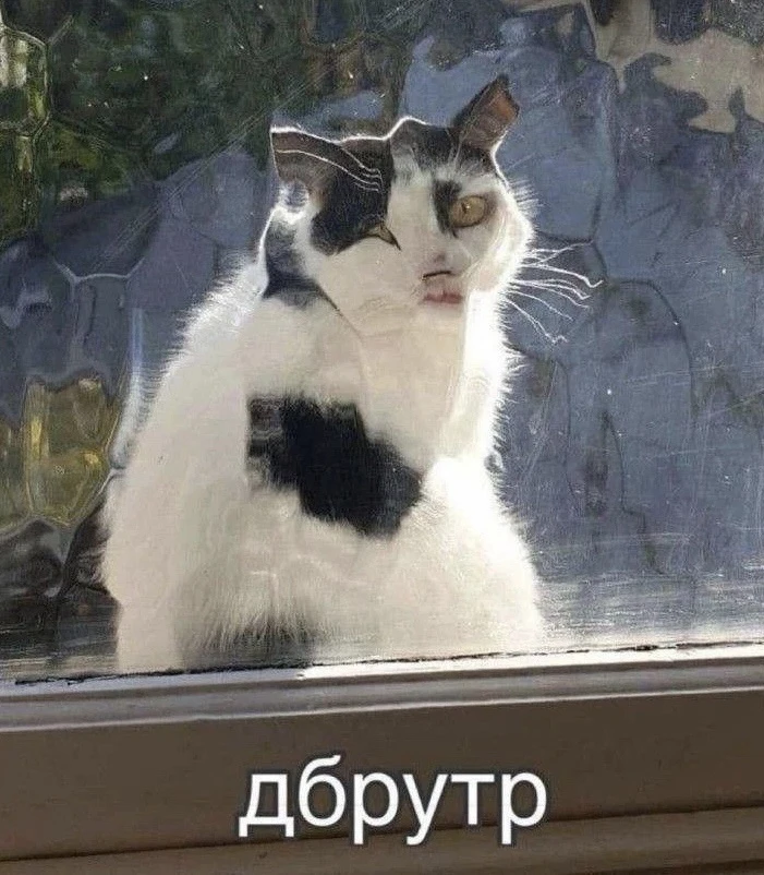 После трёх выходных понедельник похож на жестокое испытание. Согласны?