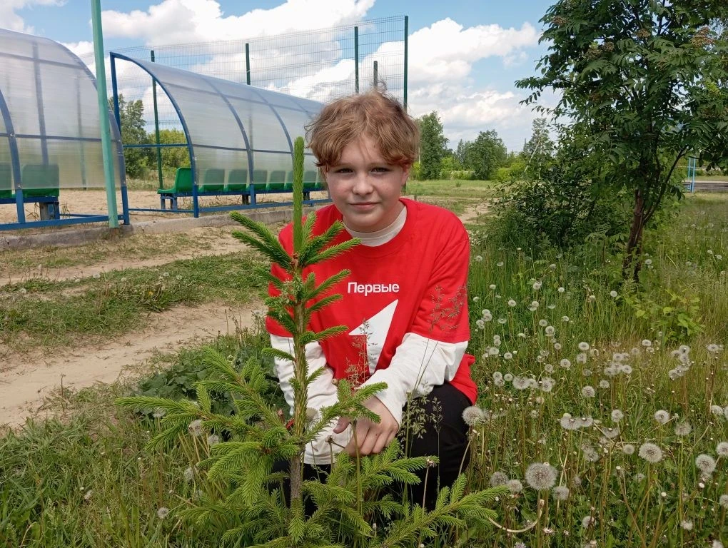 🌲Онлайн-флешмоб «Цифровой гербарий»🌲