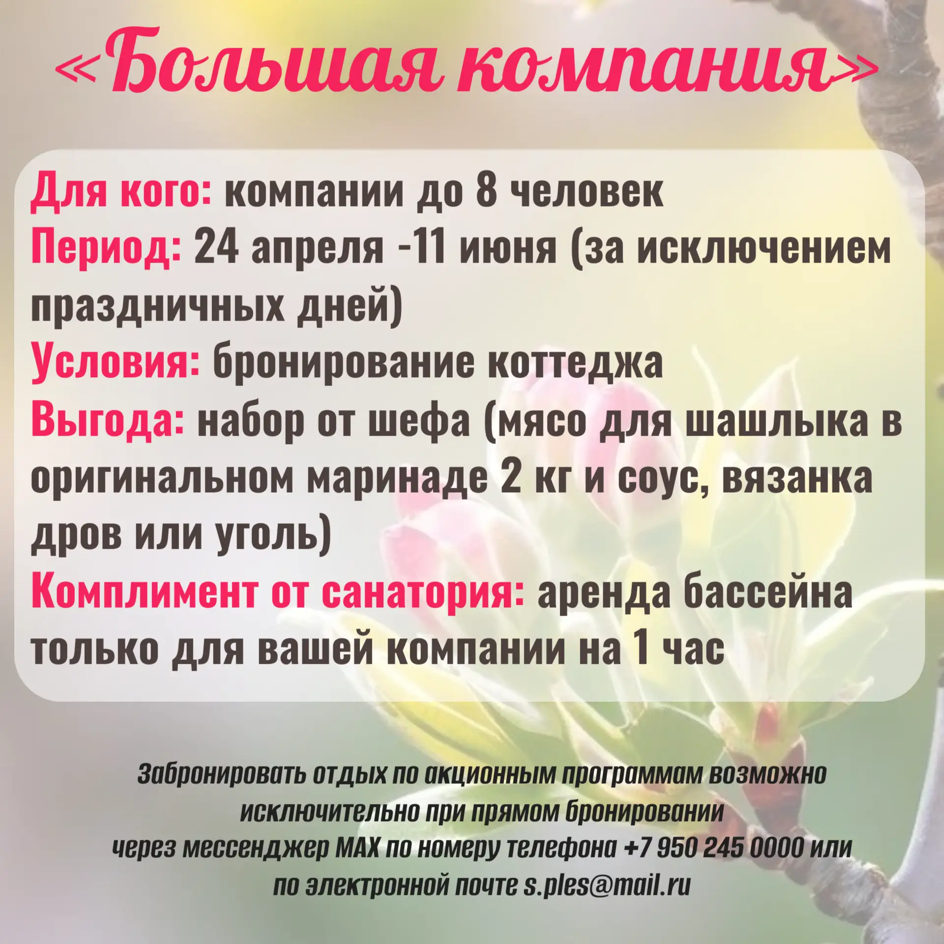 «Большая компания»