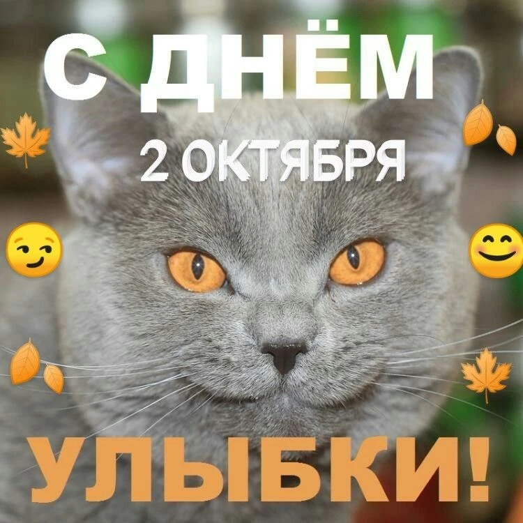 Подписаться