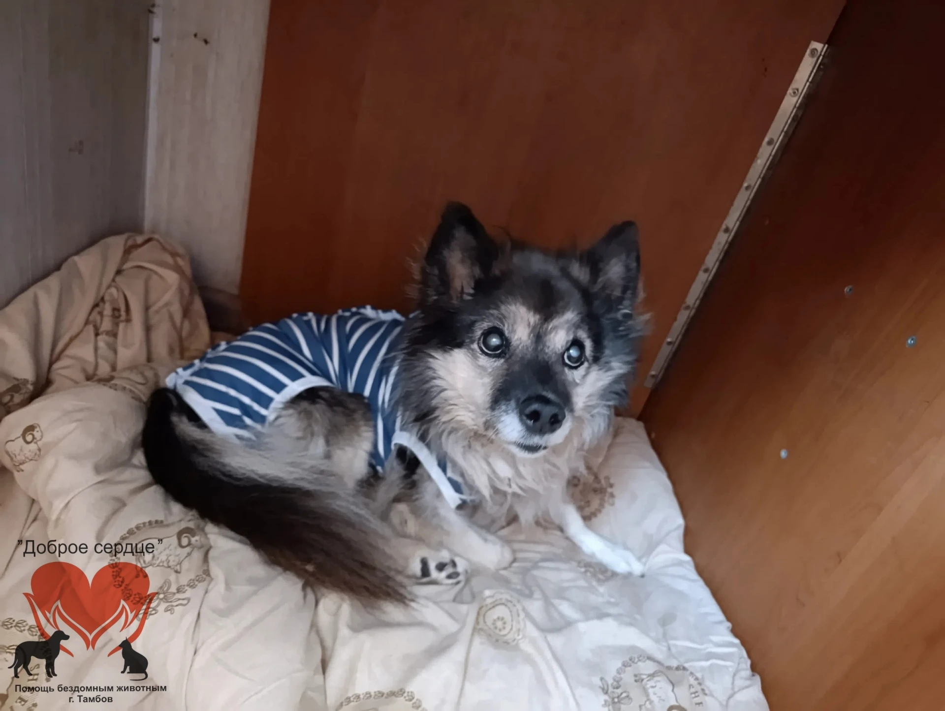 Ух, кто у нас такой красивый?