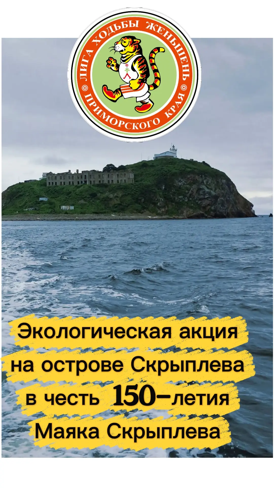 Только для волонтеров Женьшеня. Эксклюзив