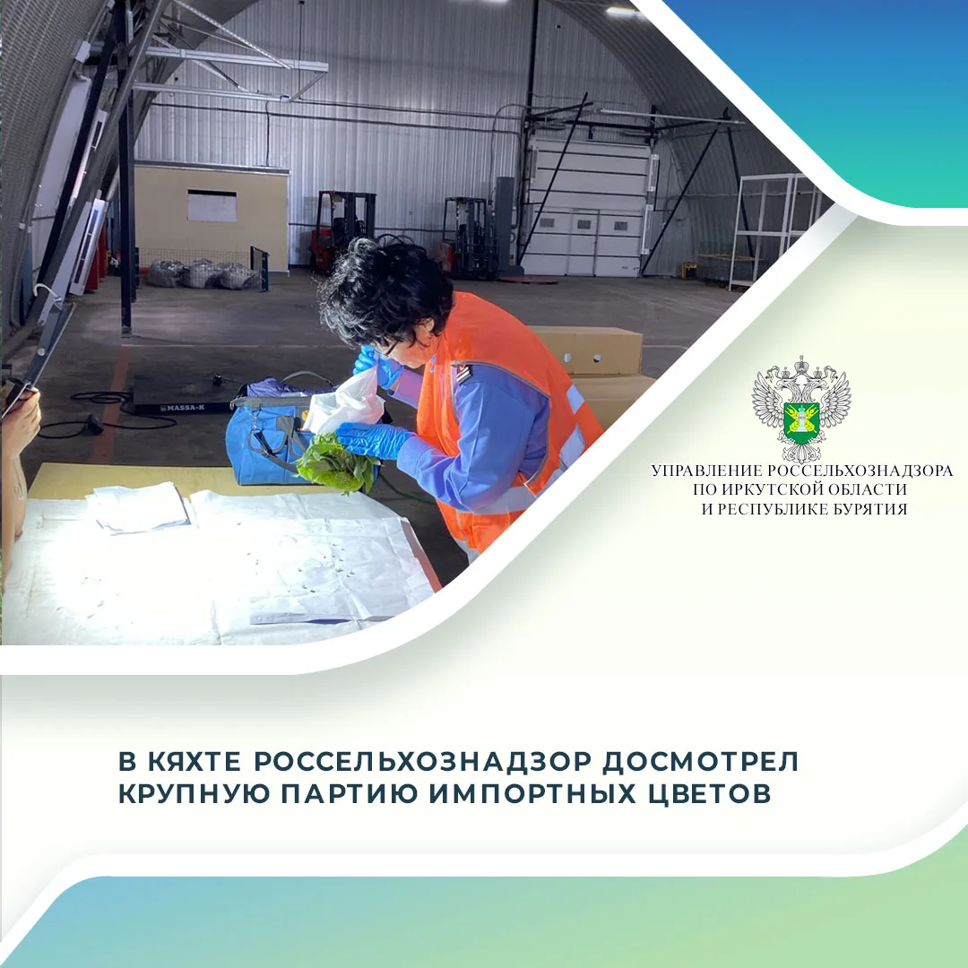 24 августа 2026 года на территорию Российской Федерации через СВХ ТЛТ «Кяхта» поступила...