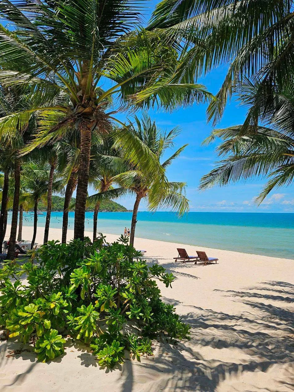 🌴 ФУКУОК 2026–2027 — жемчужина Вьетнама