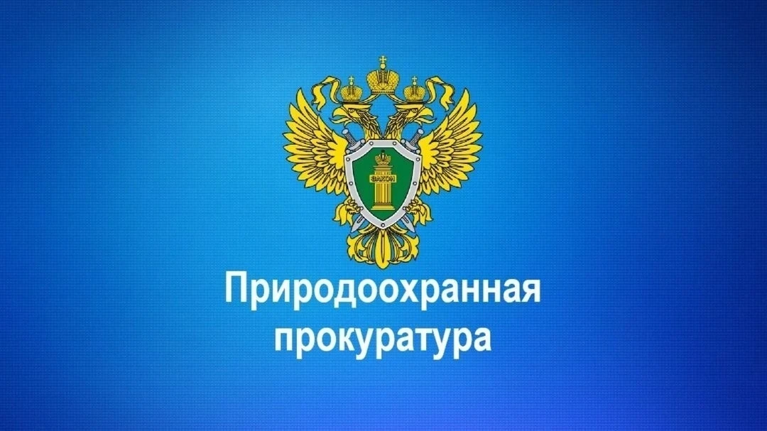 ИНФОРМАЦИЯ О РЕЗУЛЬТАТАХ РАБОТЫ