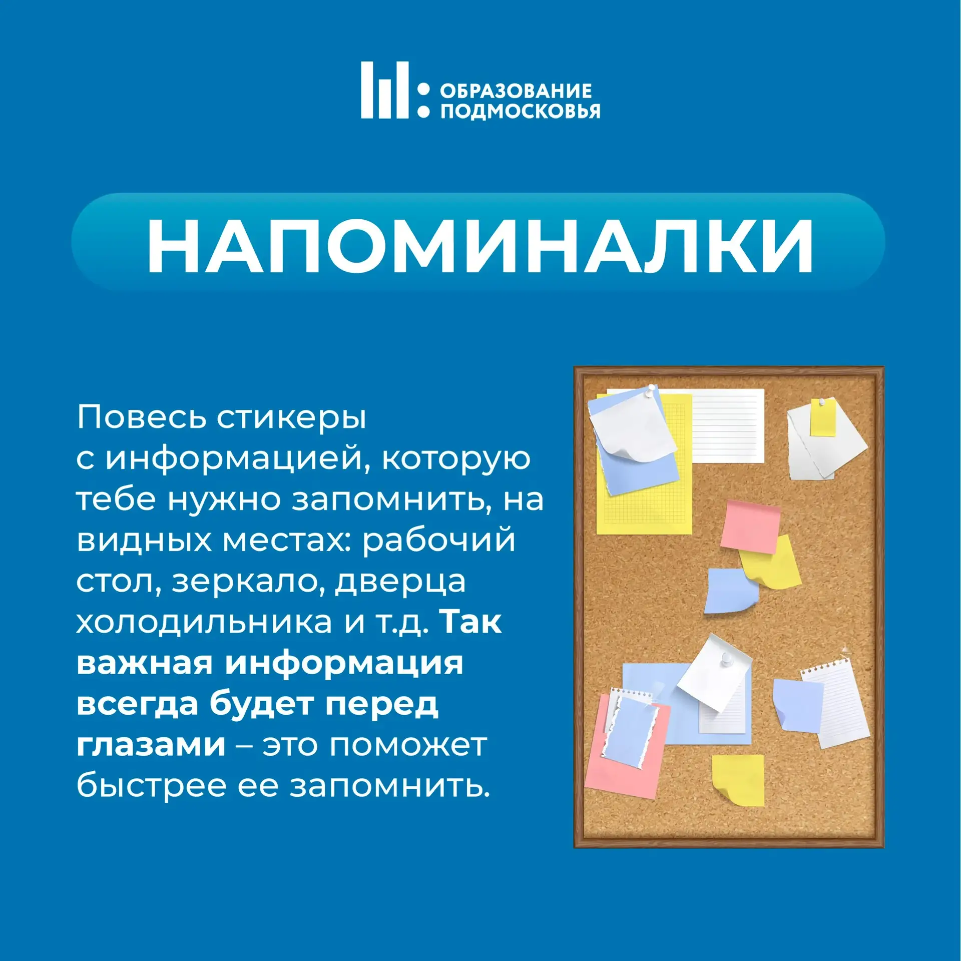 📝 Каникулы закончились – время возвращаться к учебному процессу.   Вместе с методистами подготовили 