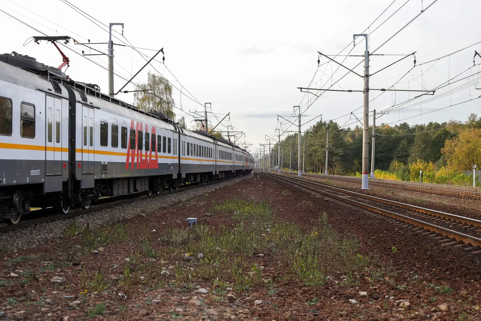 🚆 На длинные июньские выходные поездов станет больше

ЦППК и МЖД назначили дополнительные составы –