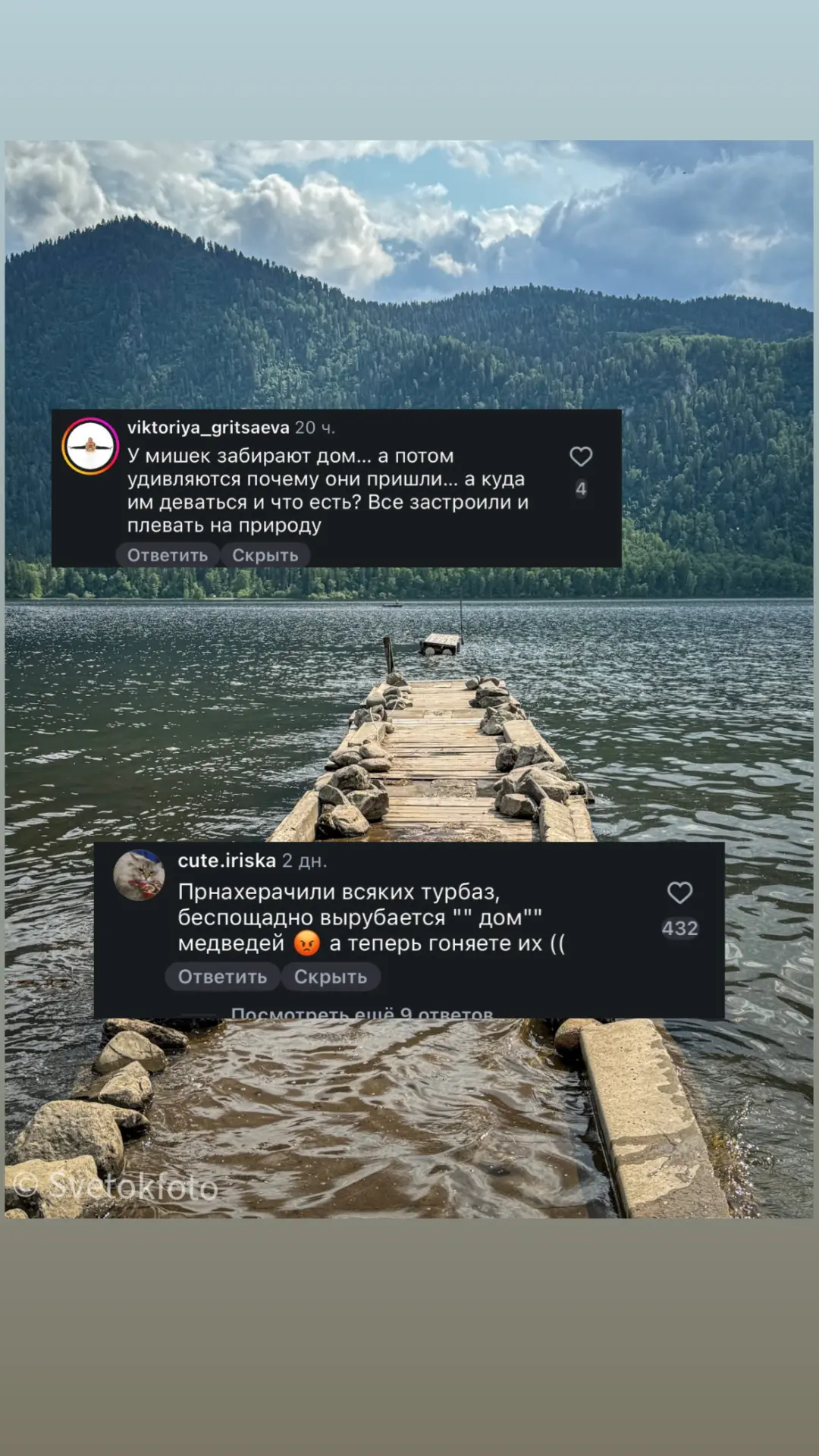 Пока зоошизики  в коментах под постом про нашествие медведей в Турочакском районе радею...