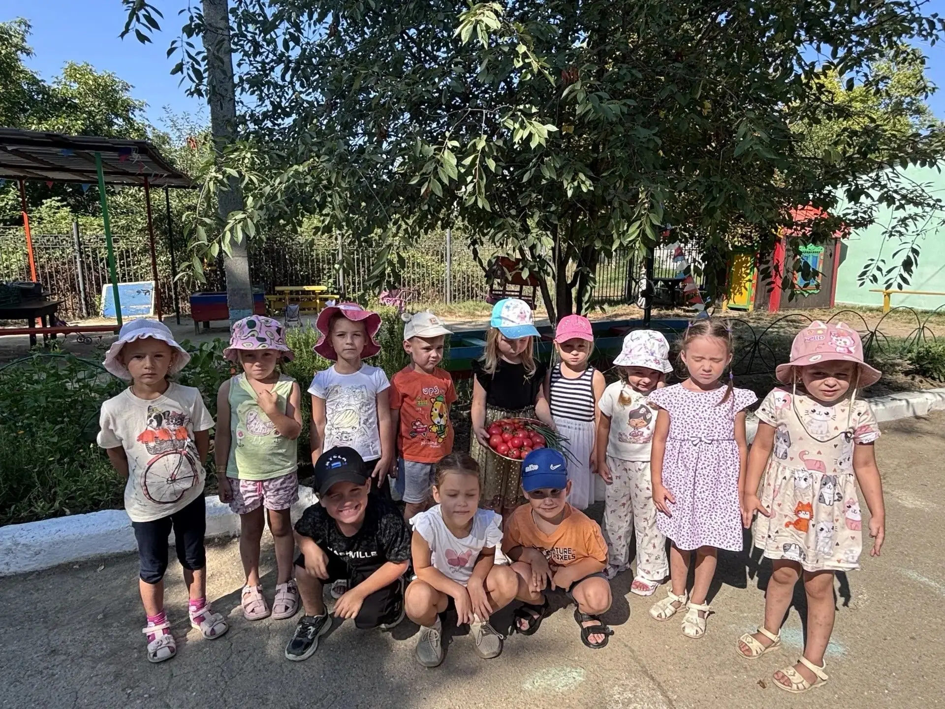 Собрали то, что вырастили сами 🍅
