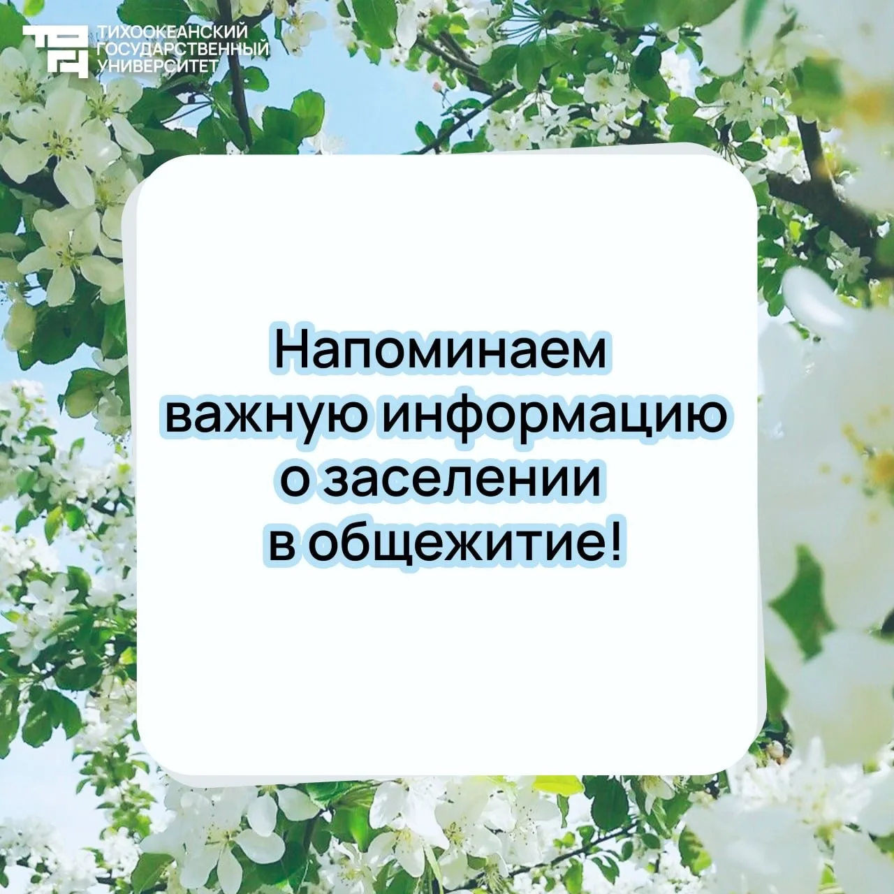Важно❗️