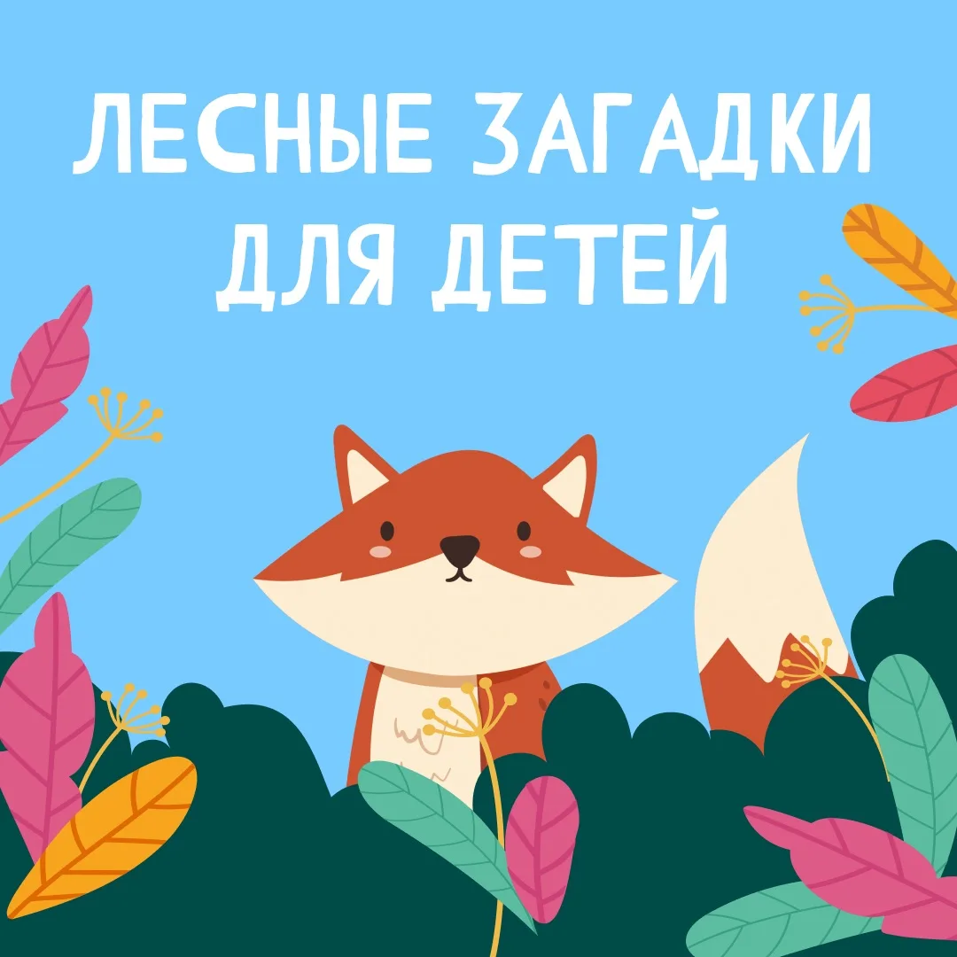 А вы любите лес?

Летний, зеленый, благоухающий травами и цветами. А сколько в нем загадок! Попробуй