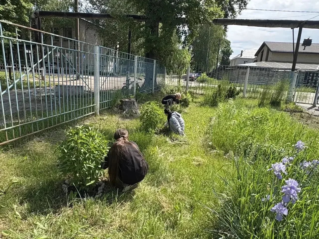 Акция «Цветы России»🇷🇺🌸

Благодарим Панкратову Наталью Николаевну и трудовой отряд, за красоту🌸❤