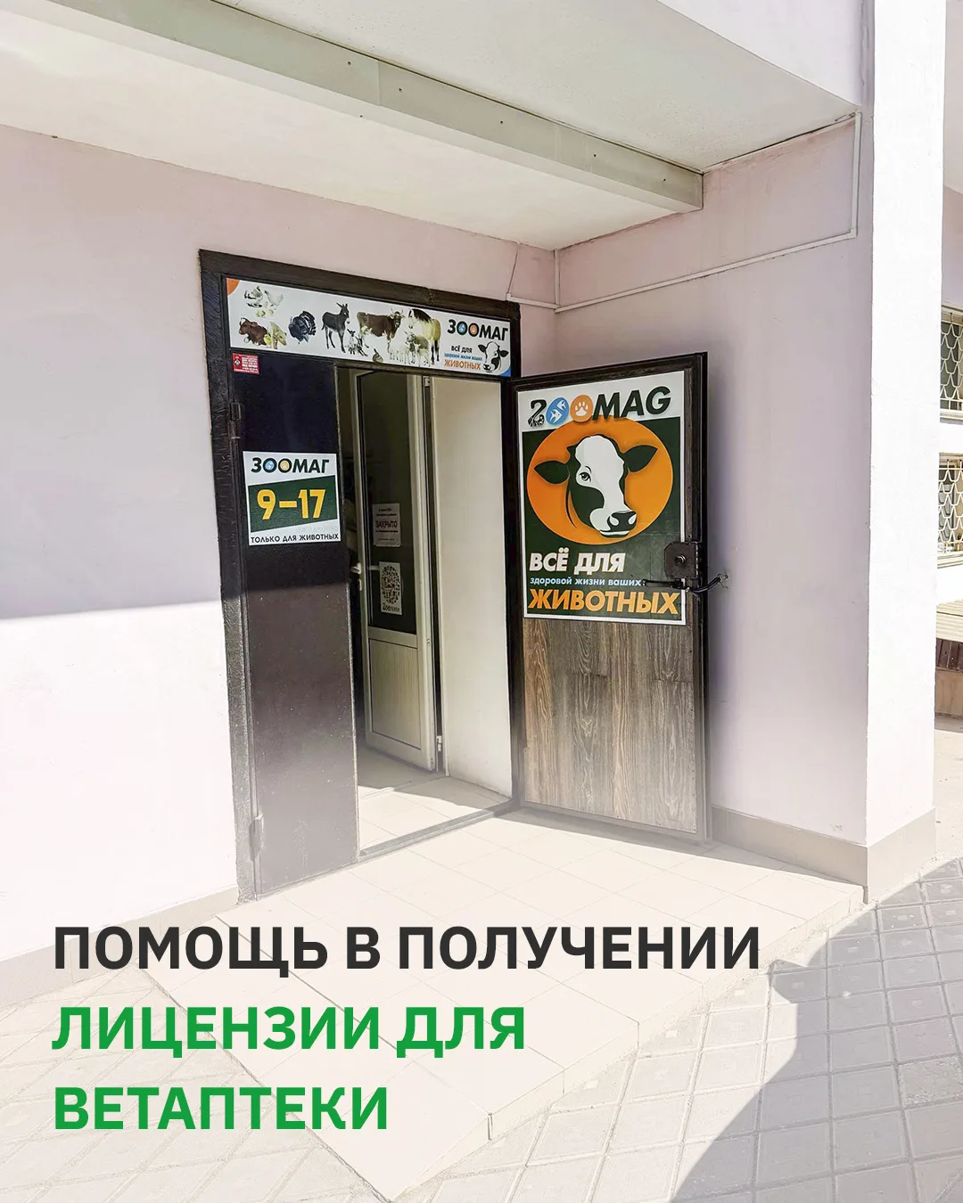 Мы активно сотрудничаем с зоомагазинами, ветаптеками и ветеринарными клиниками. За годы работы собра