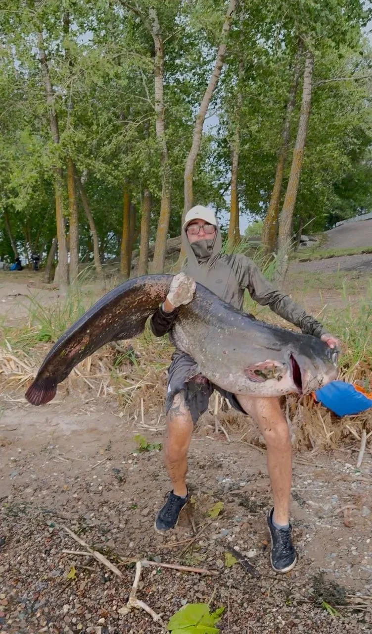 В центральной части России - Саратовской области, рыбаки 👦🎣не перестают делиться своими трофеями! 