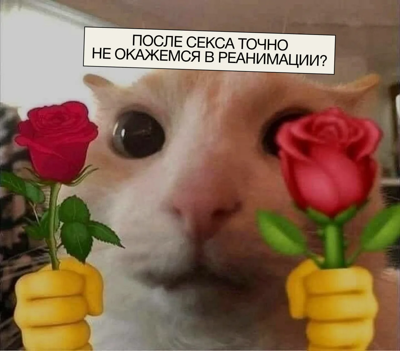 Секс, антибиотики, анафилаксия