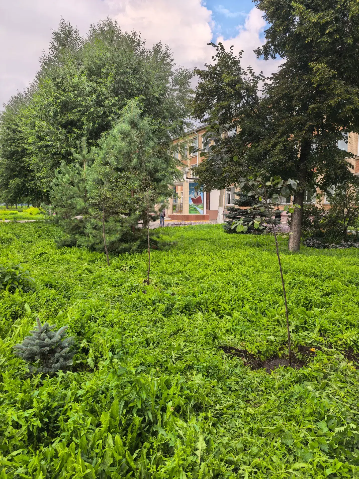 ✅Пришкольный парк Миасской школы № 1 вырос на 13 яблонь
🍏Саженцы декоративного сорта "Яблони Недзве