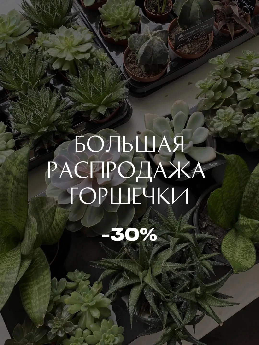 Только 30 и 31 августа действует скидка -30% на всю горшечку.