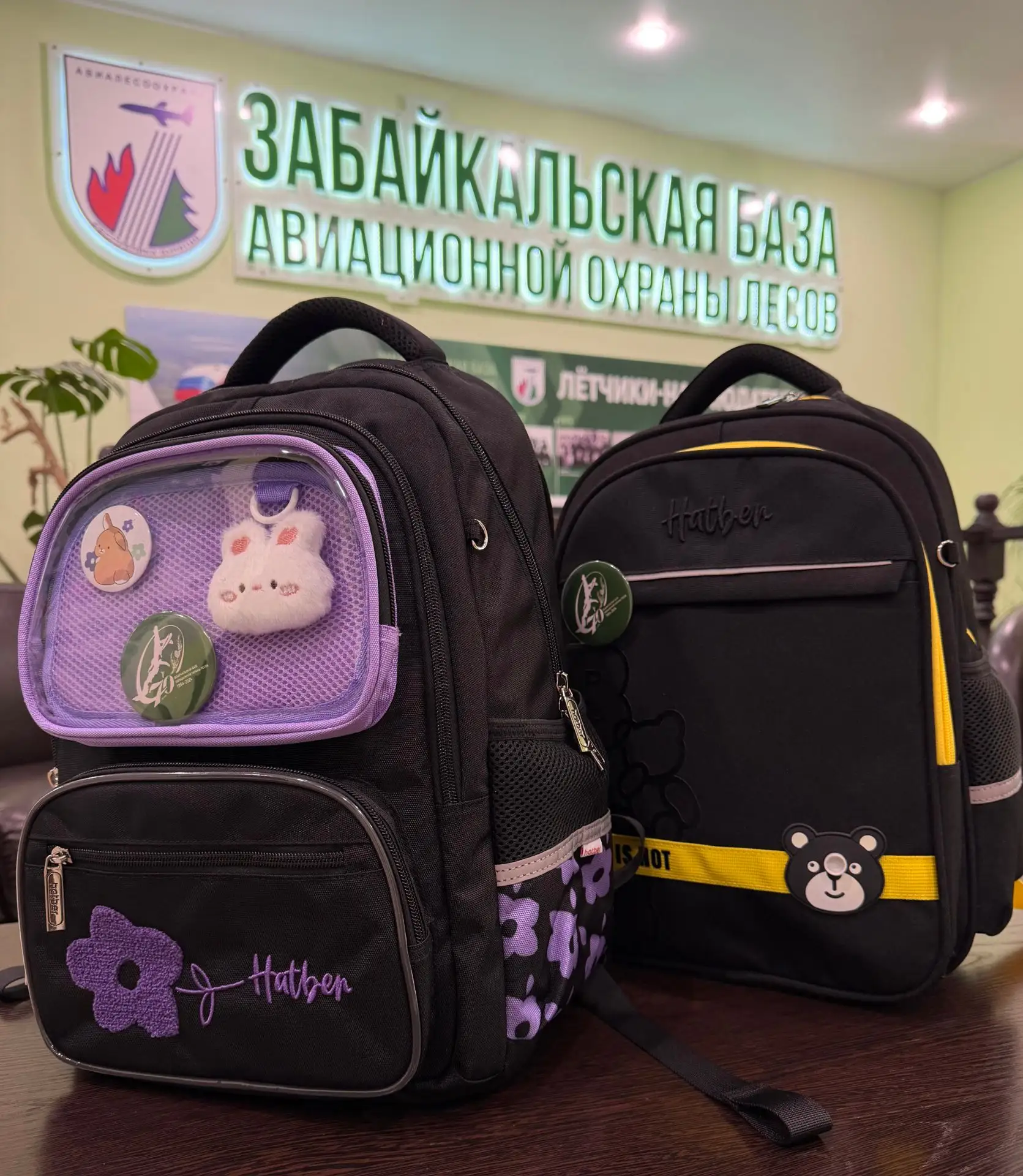 🌲Коллектив Забайкальской базы авиационной охраны лесов принял участие в благотворитель...