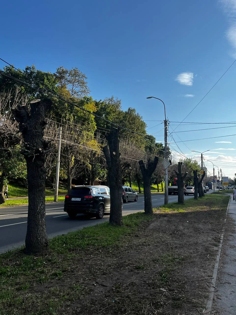 Улица Есенина лишилась своей зелени 🌳💔