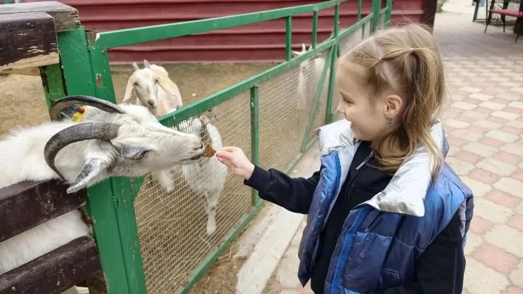 Активные выходные! Эти выходные учащиеся 1а класса София П. и 5а класса Алиса П. решили вместе с род