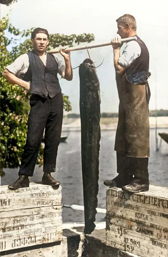 Улов на Боденском озере. Германия, 1928 год. 
 
Боденское озеро — словно капля спокойствия между Гер