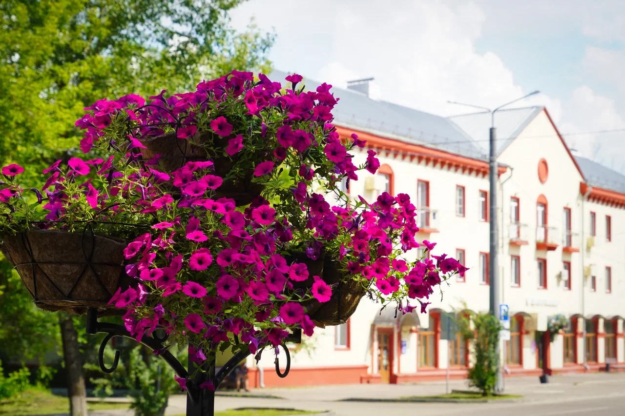 Доброе утро, Свободный! 
🌺 Пусть среда сложится из маленьких радостей и хорошего настроения.