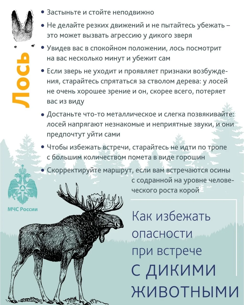 В Новгородской области продолжается сезон сбора грибов и ягод.