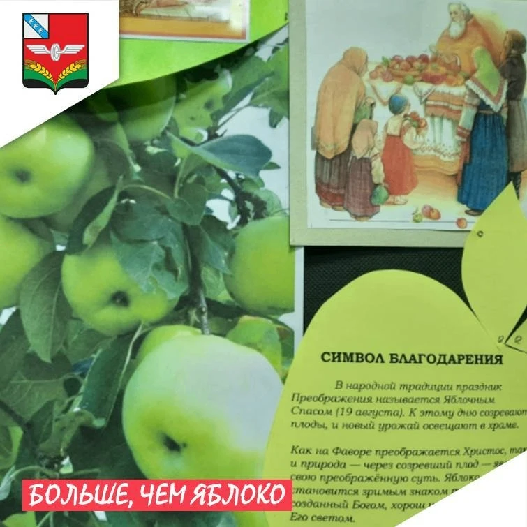 🍎 К празднику Яблочного Спаса в Советском краеведческом музее работает выставка «Больш...