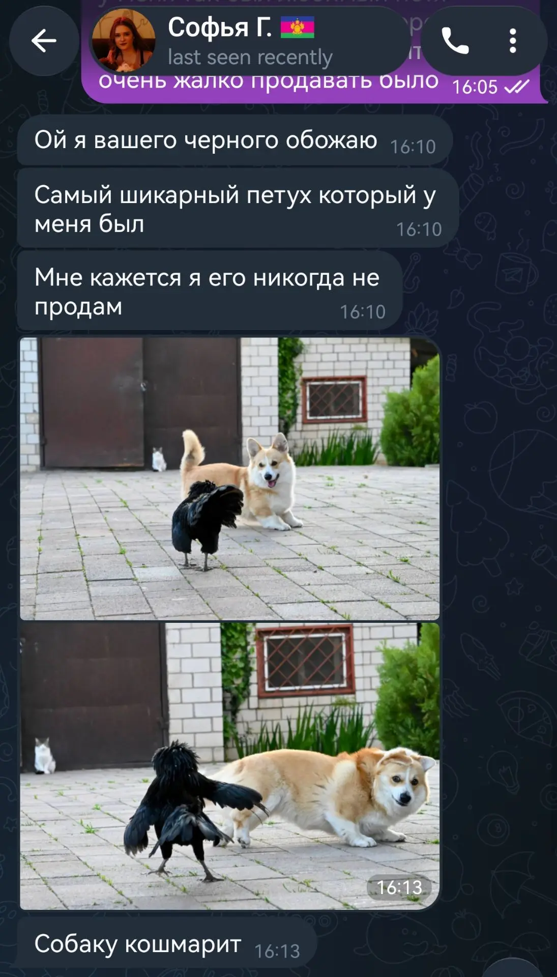 Доброе утро, вот такой отзыв и забавные фотографии прислала София из Краснодарского кра...