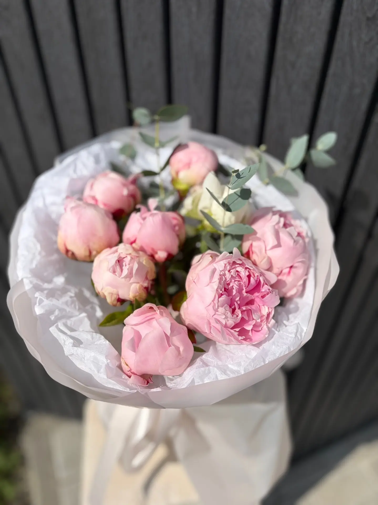 🌸 Пионы — это не просто цветы, а настоящее настроение!