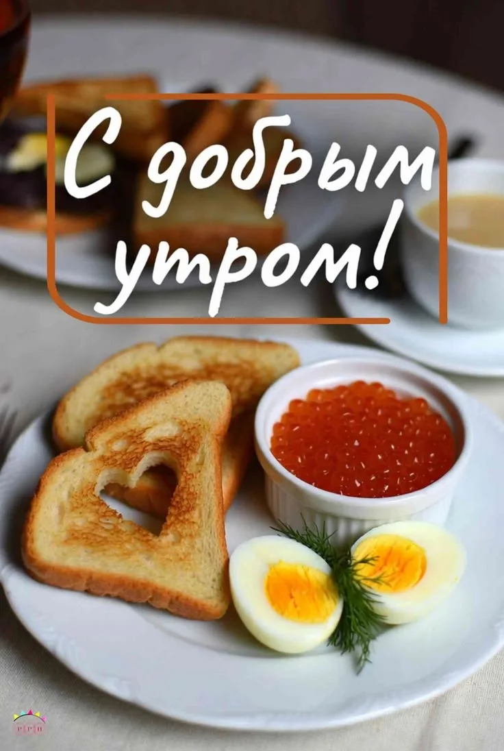 🙂 Доброе утро!🌷



☀️✨🟢✨☀️

МЫ в МАХ - подписаться.

❤️ Фабрика Поздравлений
📌#доброеутро