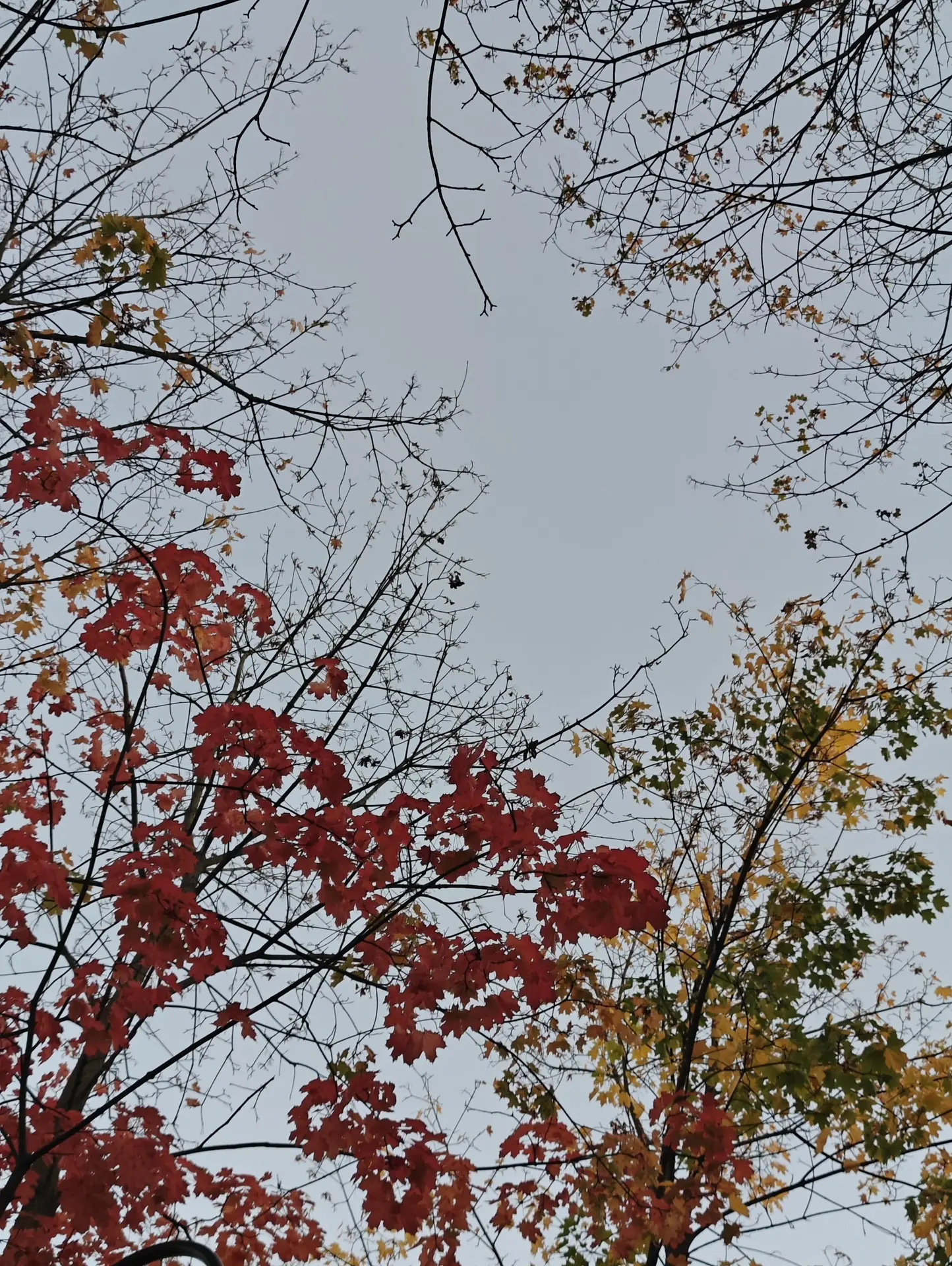 Хорошего отдыха, соседи 🍂