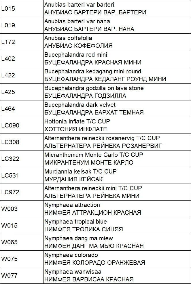 Поступление растений и нимфей для прудика