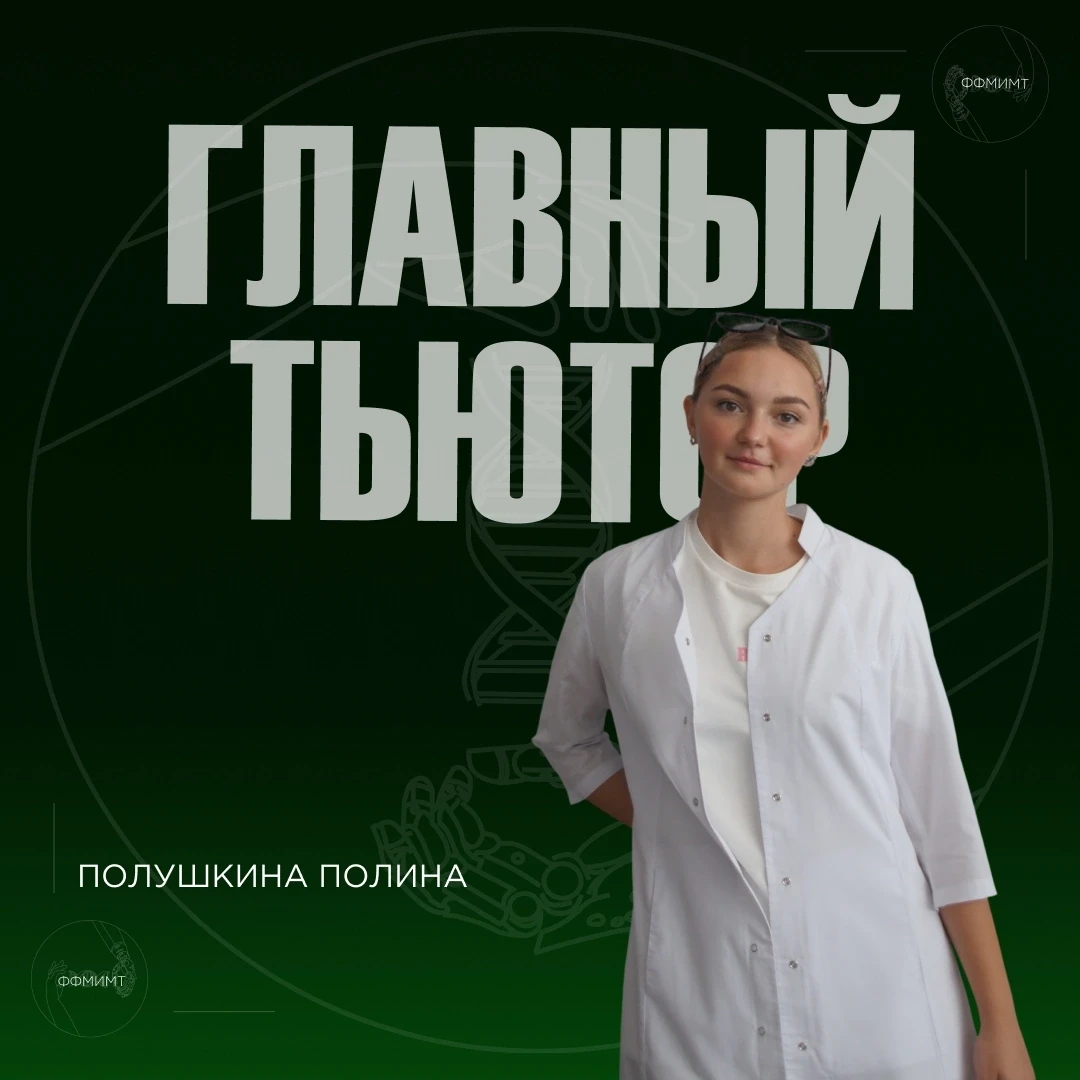 ⚡ Знакомство с советом ⚡