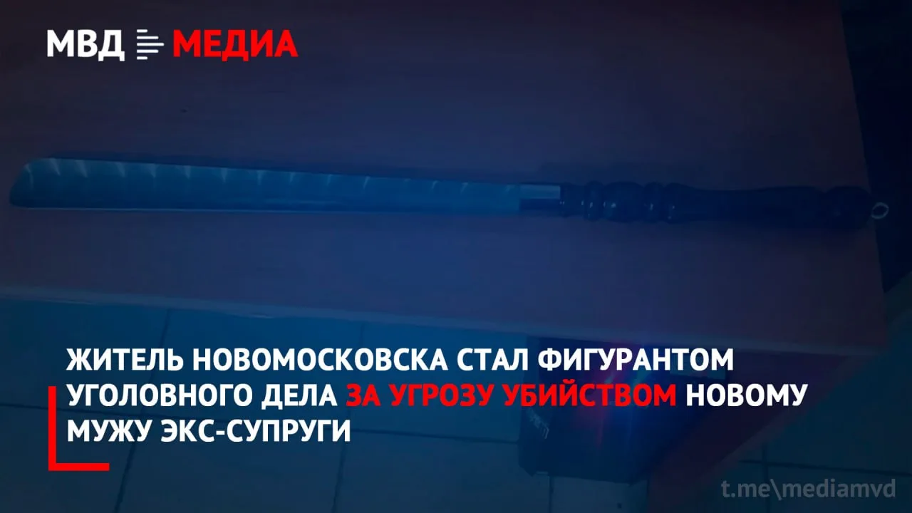 Житель Новомосковска стал фигурантом уголовного дела из-за угроз убийством