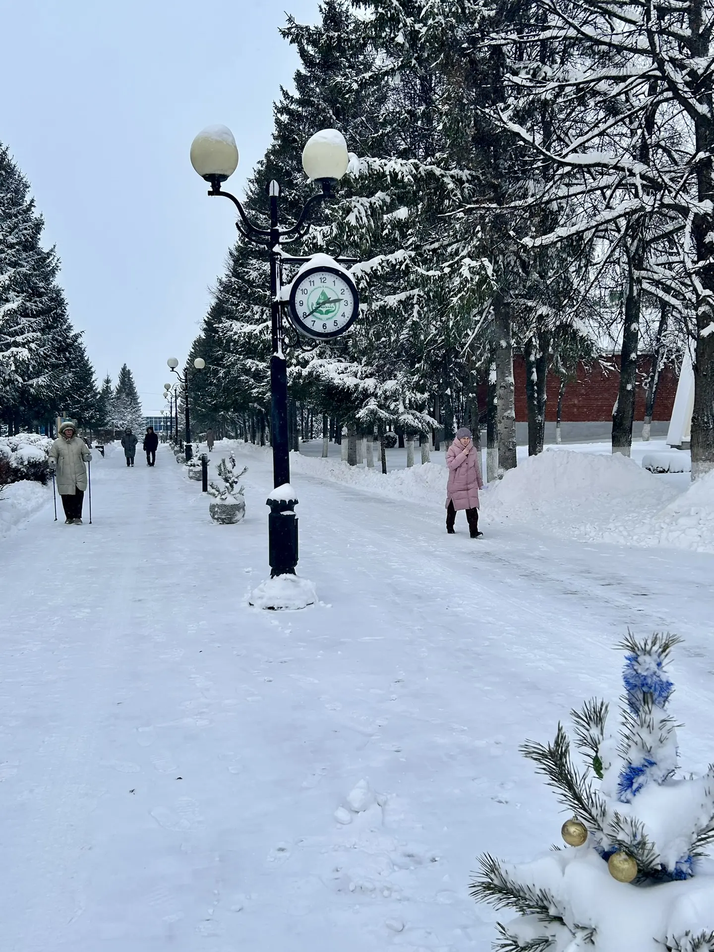 ❄️Наконец-то! Санаторий «Бакирово» сменил золотой осенний наряд на белоснежную зимнюю шубу.❄️ 🌬️ Теп
