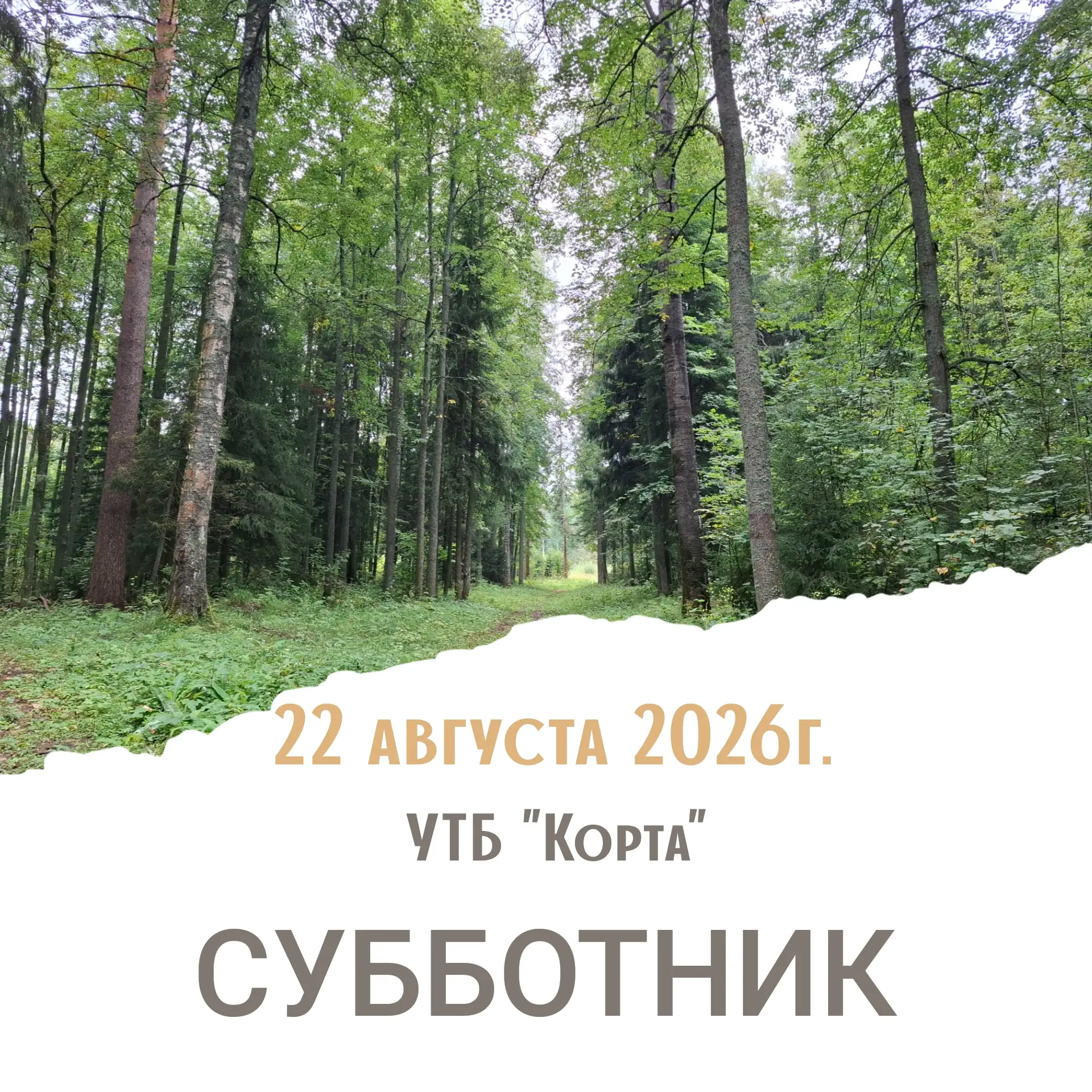 🪚Приглашаем всю нашу большую лыжную семью на субботник!