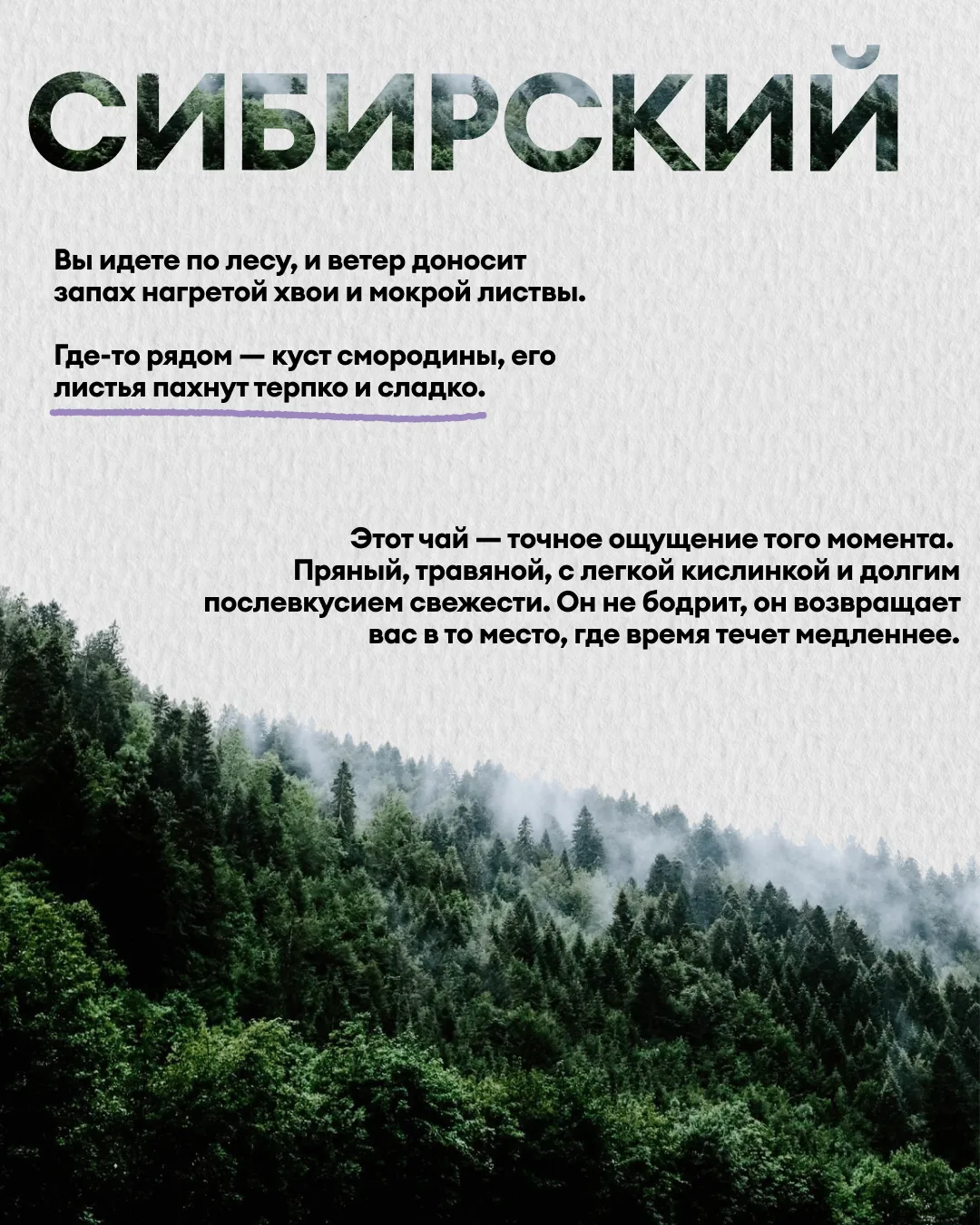 Представьте: вы сидите на старой деревянной скамье на краю леса. Солнце уже садится, во...