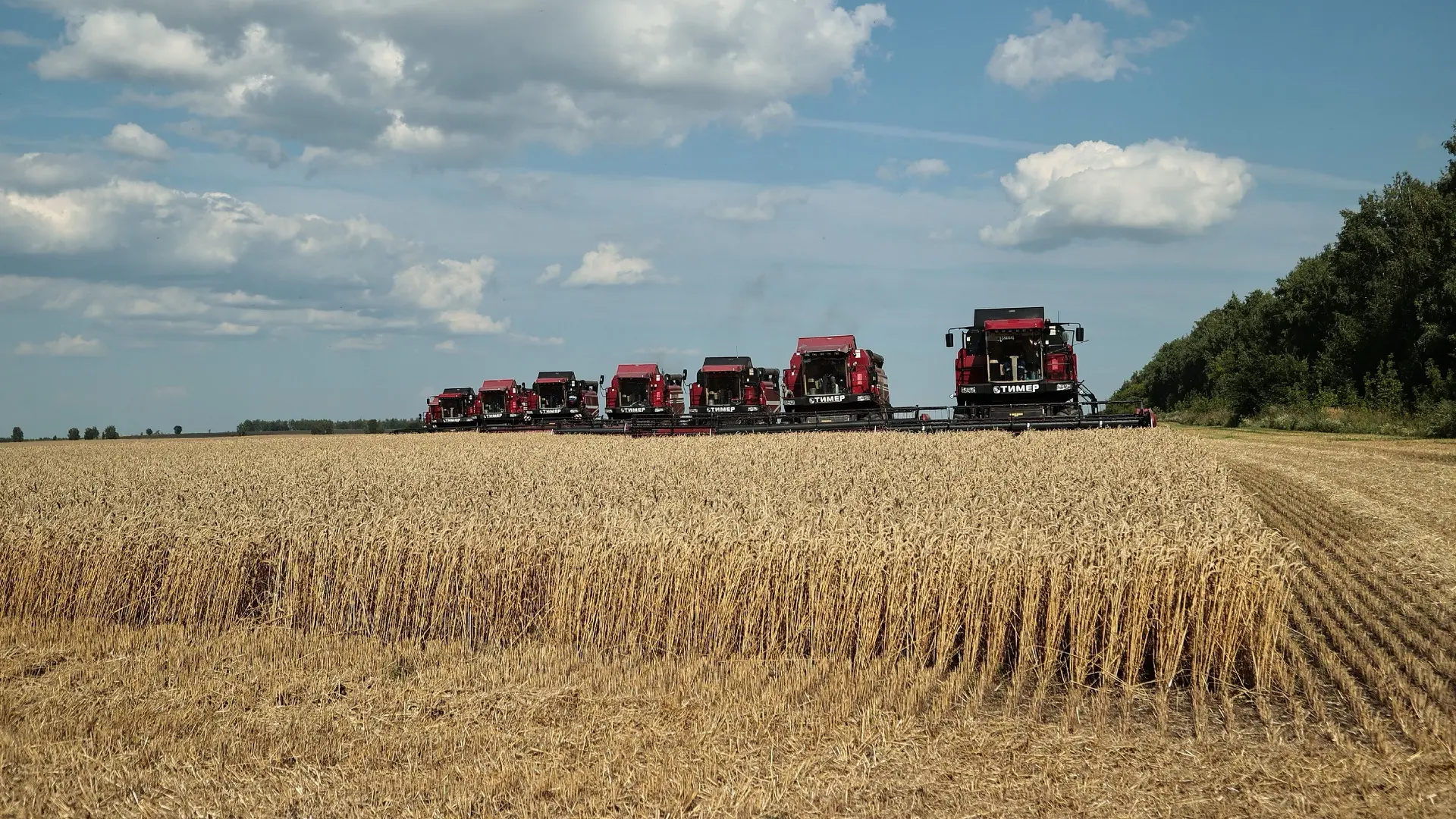🚜🌾Дали старт уборочной в регионе на полях хозяйства Владимира Евстифеева в Новоспасск...