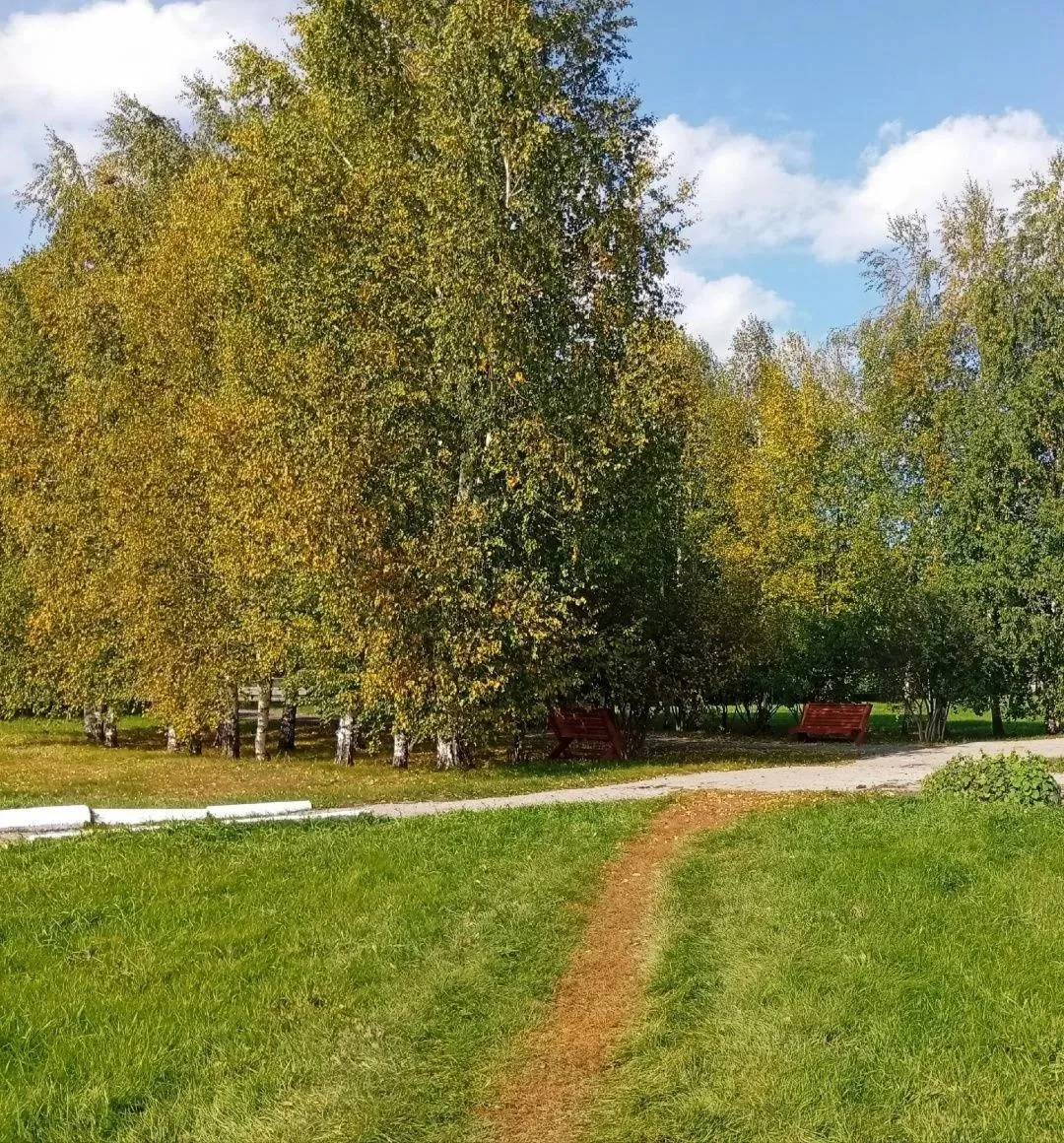 День туризма в нашей школе.