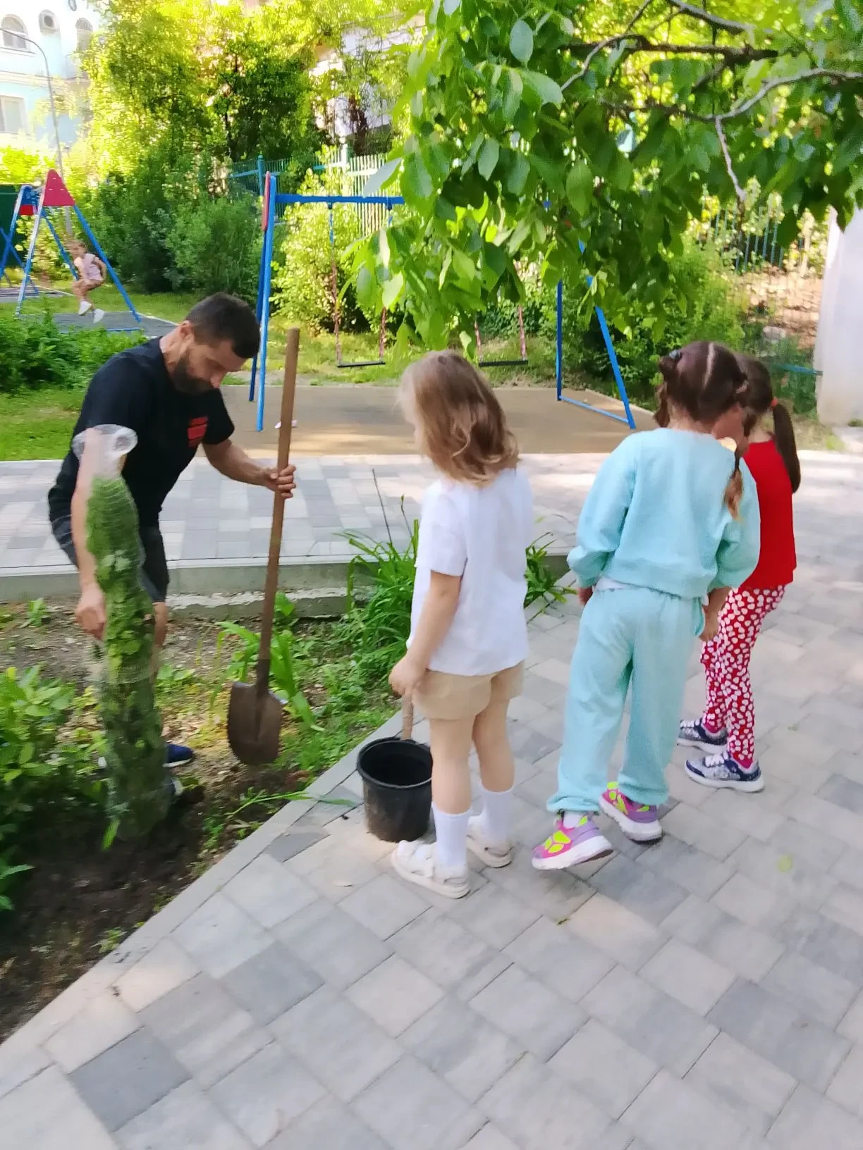 В нашем детском саду появилась хорошая и добрая традиция - посадка саженцев на «Аллее выпускников» д