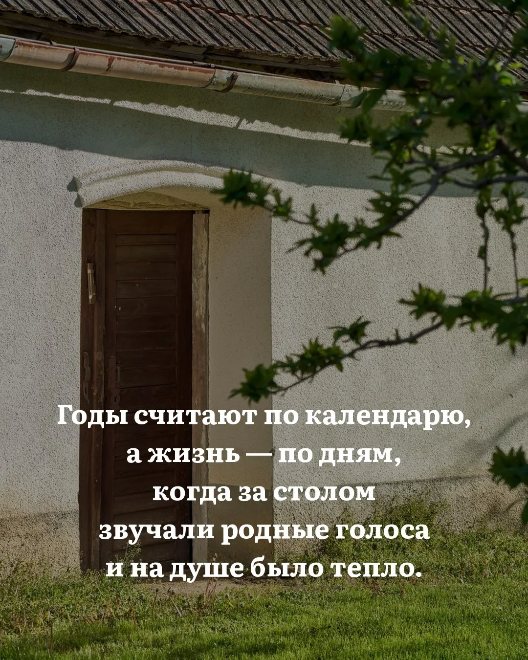 Вроде вчера дети сидели на кухне, спорили из-за последнего пирожка. А теперь приезжают ...