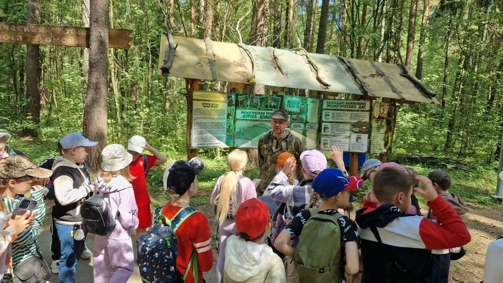 🌲 Настоящее лесное приключение для 2 «Б»!   Какой чудесный день для прогулки! Ученики 2 «Б» класса в