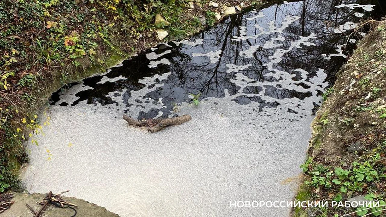 Очистные оказались ни при чем. Обнаружили несанкционированный слив в Озерейку

Жители Южной Озереевк