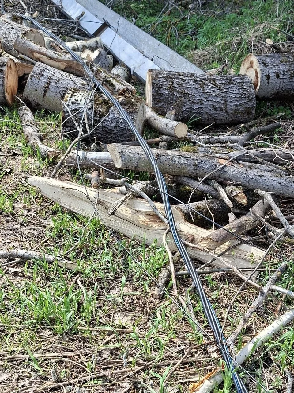 Жители деревни Квашнино Обуховского сельсовета больше недели ходят по проводам под напряжением, кото
