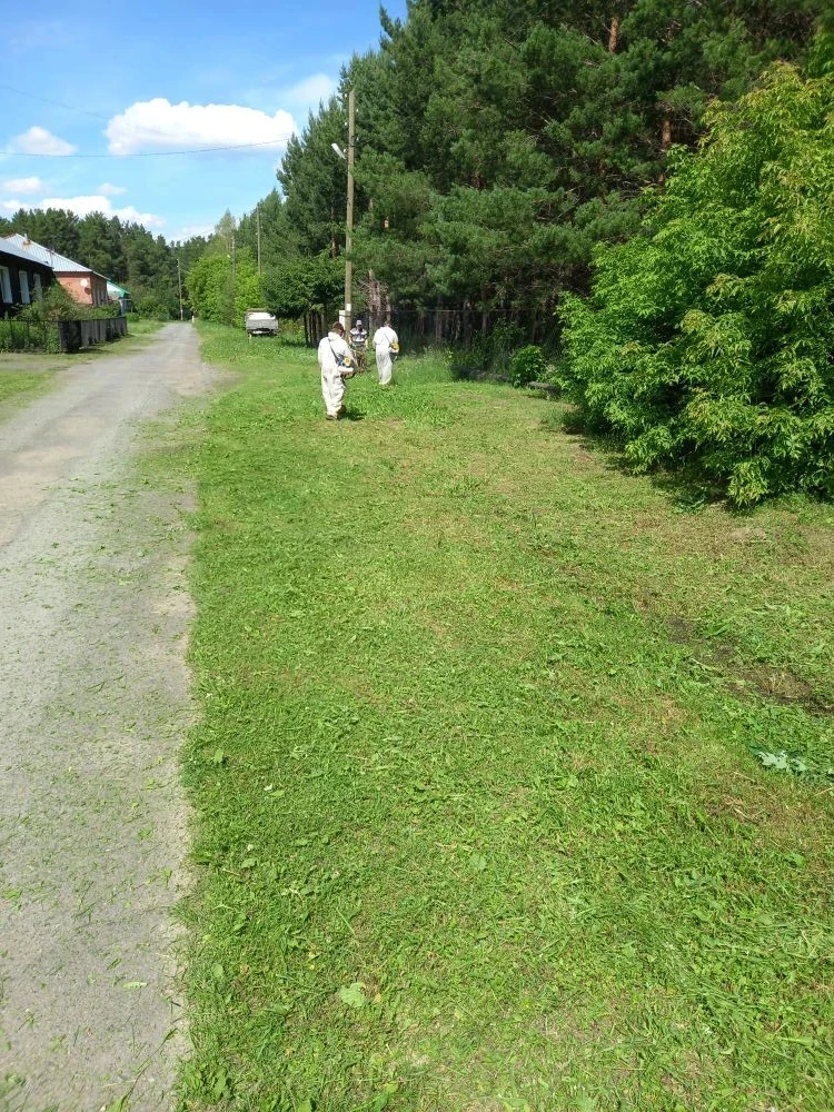 19.06.2026 г.

Проводятся работы - Окос травы (пгт. Пышма, ул. Комарова)

#МУПЖКХТрифоновское