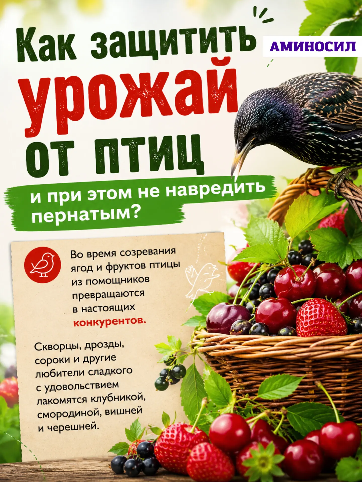 🐦 Как защитить урожай от птиц и при этом не навредить пернатым?
Читайте на фото 👆

Берегите урожай