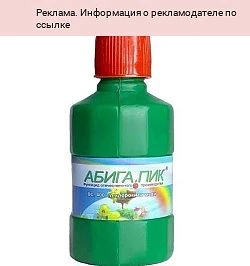 Защитите клематисы от болезней! 🌸