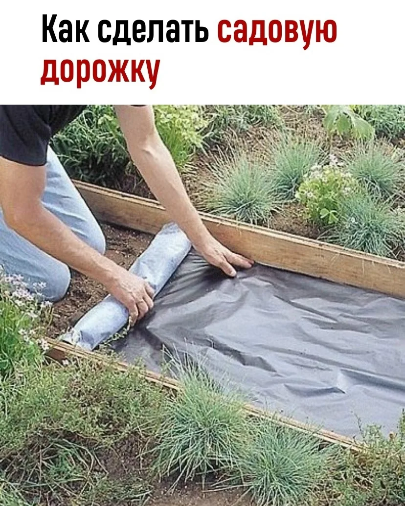 Простой способ обустроить садовую дорожку ⚡