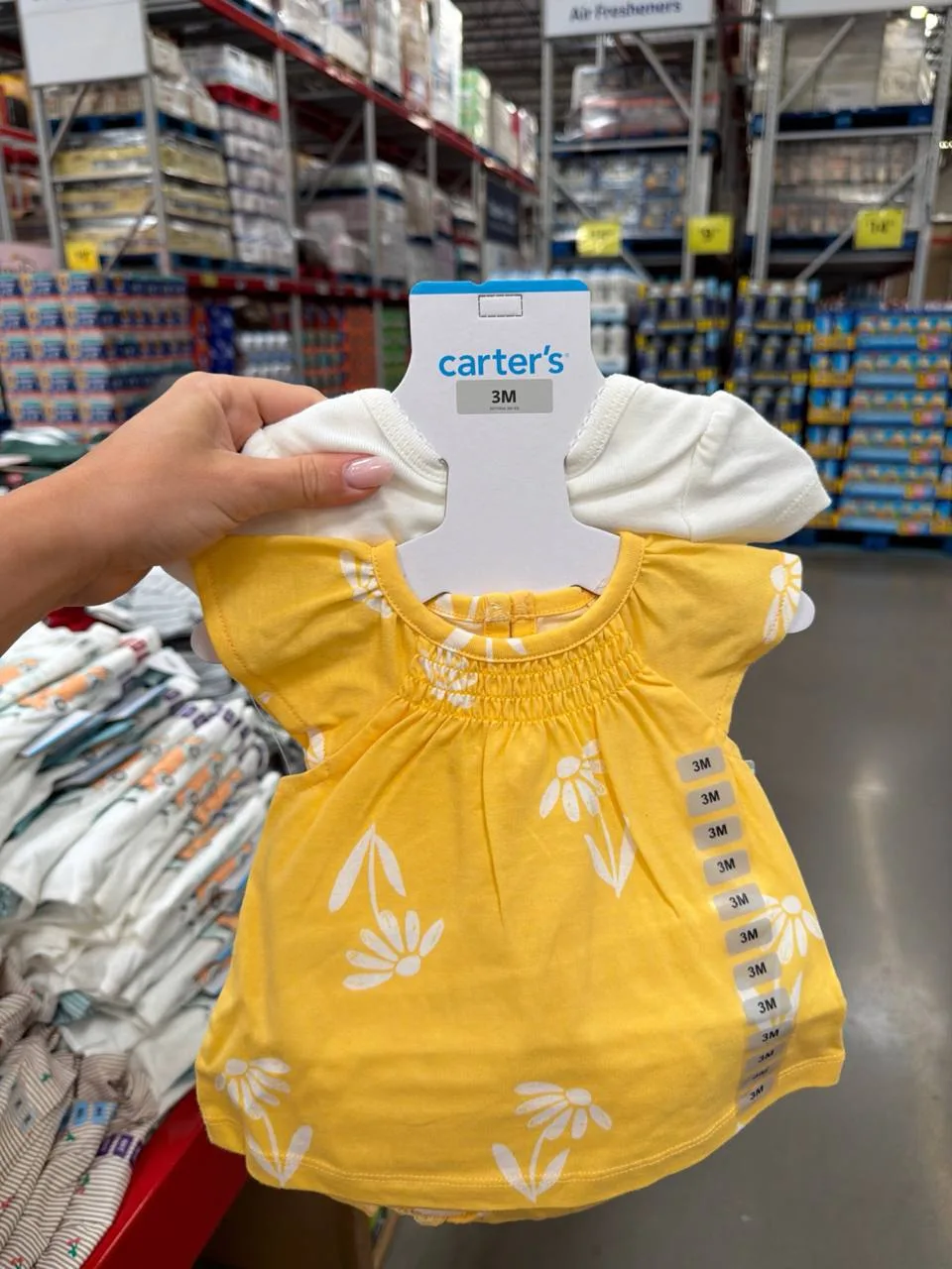 3m-24m